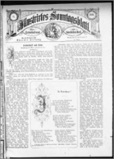 Illustrirtes Sonntags Blatt 1880, nr 15