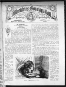 Illustrirtes Sonntags Blatt 1880, nr 29