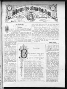 Illustrirtes Sonntags Blatt 1880, nr 30
