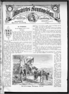 Illustrirtes Sonntags Blatt 1880, nr 35