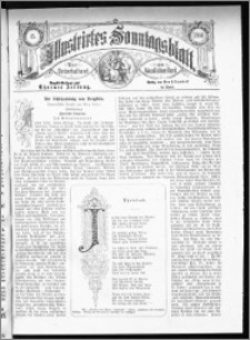 Illustrirtes Sonntags Blatt 1880, nr 45