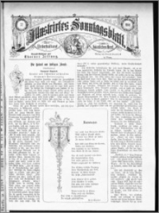 Illustrirtes Sonntags Blatt 1881, nr 32