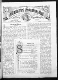 Illustrirtes Sonntags Blatt 1881, nr 41