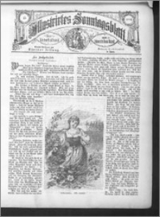 Illustrirtes Sonntagsblatt 1886, nr 15