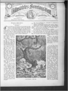 Illustrirtes Sonntagsblatt 1886, nr 43