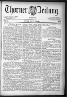 Thorner Zeitung 1881, Nro. 17