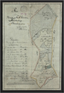 Plan v. d. Kgl Stadt Vorwerck Schwedenberg zu Bromberg gehörig : Vermessen u. d. 24 May 1782
