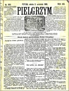 Pielgrzym, pismo religijne dla ludu 1881 nr 100