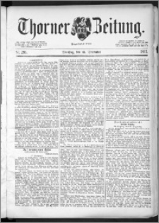 Thorner Zeitung 1891, Nr. 293