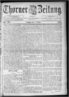 Thorner Zeitung 1894, Nr. 230