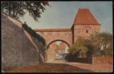 Toruń - zamek krzyżacki - Gdanisko - Thorn - Der Dansker
