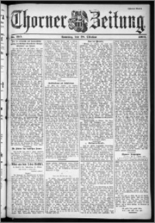 Thorner Zeitung 1900, Nr. 253 Zweites Blatt