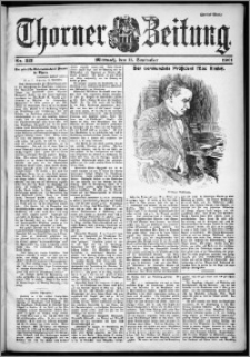 Thorner Zeitung 1901, Nr. 213 Zweites Blatt