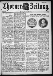 Thorner Zeitung 1901, Nr. 245 Zweites Blatt