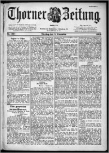 Thorner Zeitung 1901, Nr. 260 Erstes Blatt