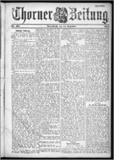 Thorner Zeitung 1901, Nr. 293 Zweites Blatt