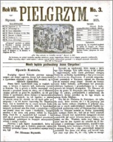 Pielgrzym, pismo religijne dla ludu 1875 nr 3