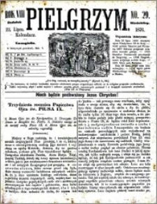 Pielgrzym, pismo religijne dla ludu 1876 nr 29