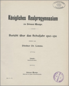Bericht über das Schuljahr 1910-1911