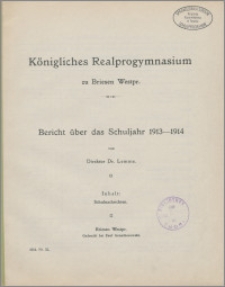 Bericht über das Schuljahr 1913-1914