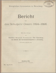 Bericht das Schuljahr Ostern 1894-1895