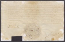 Władysław IV król polski wydaje paszport Tomaszowi Zamoyskiemu podkanclerzemu koronnemu udającemu się do Niemiec i państw zachodnich dla podratowania zdrowia