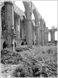 Chojna. Ruiny Kościoła Mariackiego - wnętrze