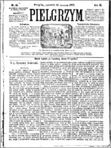 Pielgrzym, pismo religijne dla ludu 1877 nr 66