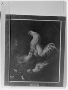 Gdańsk [Muzeum Narodowe, Daniel Schultz – obraz Kogut, dwie kury i dwie kaczki]
