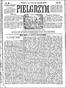 Pielgrzym, pismo religijne dla ludu 1877 nr 131