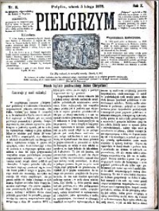 Pielgrzym, pismo religijne dla ludu 1878 nr 16