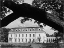 Radziejowice – pałac