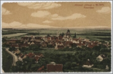Altstadt Schwetz a. W. 1874 - Panorama