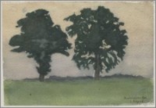 Drzewa - Kazimierzów