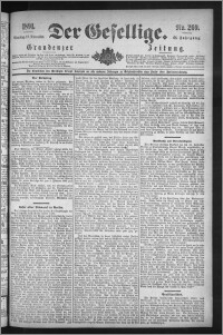 Der Gesellige : Graudenzer Zeitung 1891.11.17, Jg. 66, No. 269