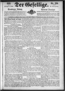 Der Gesellige : Graudenzer Zeitung 1893.10.24, Jg. 68, No. 250