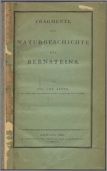Fragmente zur Naturgeschichte des Bernsteins