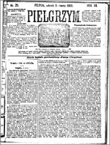 Pielgrzym, pismo religijne dla ludu 1880 nr 29