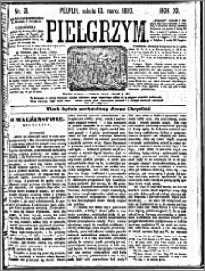 Pielgrzym, pismo religijne dla ludu 1880 nr 31