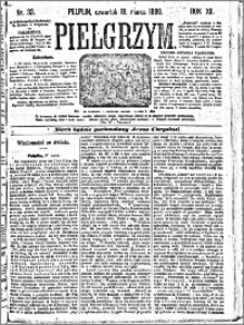 Pielgrzym, pismo religijne dla ludu 1880 nr 33