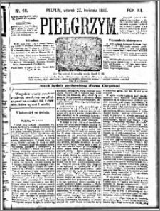 Pielgrzym, pismo religijne dla ludu 1880 nr 48