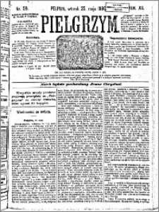 Pielgrzym, pismo religijne dla ludu 1880 nr 59