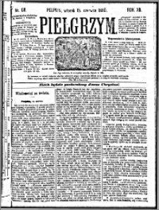 Pielgrzym, pismo religijne dla ludu 1880 nr 68