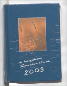 Dziennik (2003)