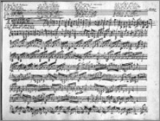 6 Variationen über das beliebte. Thema aus de Oper La Molinara von H. G. Rotondi D'arailaza