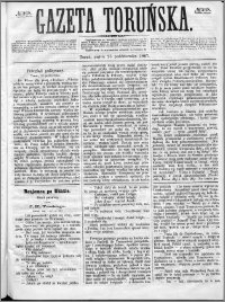 Gazeta Toruńska 1867, R. 1, nr 248