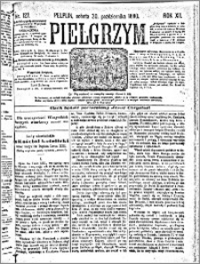 Pilegrzym, pismo religijne dla ludu 1880 nr 127