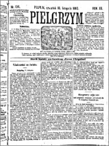 Pielgrzym, pismo religijne dla ludu 1880 nr 134