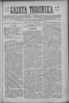 Gazeta Toruńska 1876, R. 10 nr 165