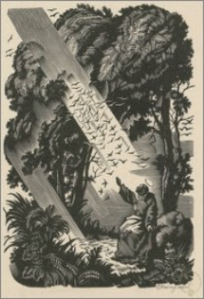 Św. Franciszek (ilustracja do książki Pii Górskiej "Tarcza i kaptur")